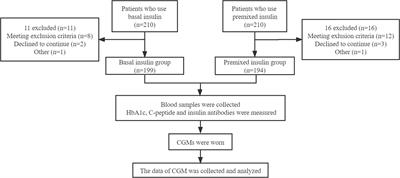 Basal Insulin Reduces Glucose Variability and Hypoglycaemia Compared to Premixed Insulin in Type 2 Diabetes Patients: A Study Based on Continuous Glucose Monitoring Systems